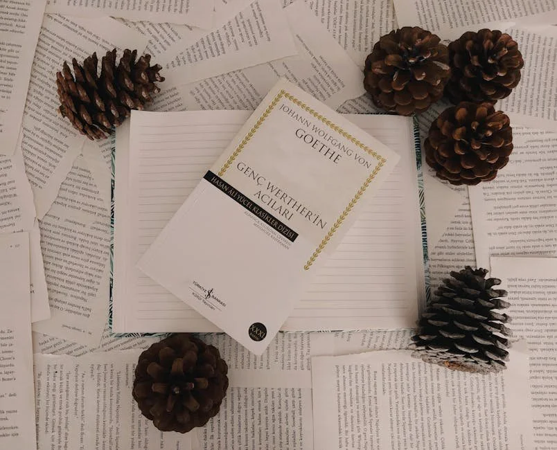 Mexico City changed the way I think about cities: CDMX, Oaxaca, and the Yucatán