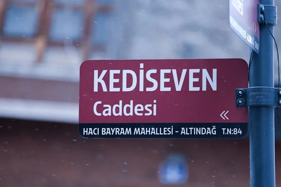 Tunisia is the North Africa trip I haven't taken yet (and my Moroccan travel brain won't shut up about it)